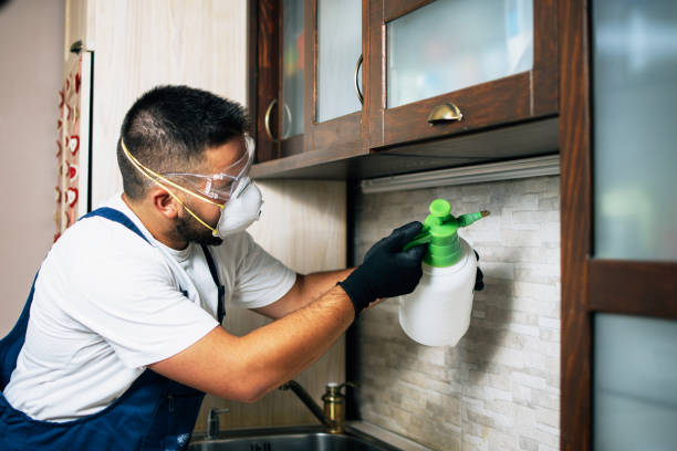 Best Local Pest Control Services  in Kenneth City, FL