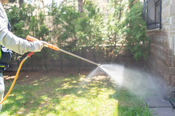 Best Affordable Pest Control Services  in Kenneth City, FL