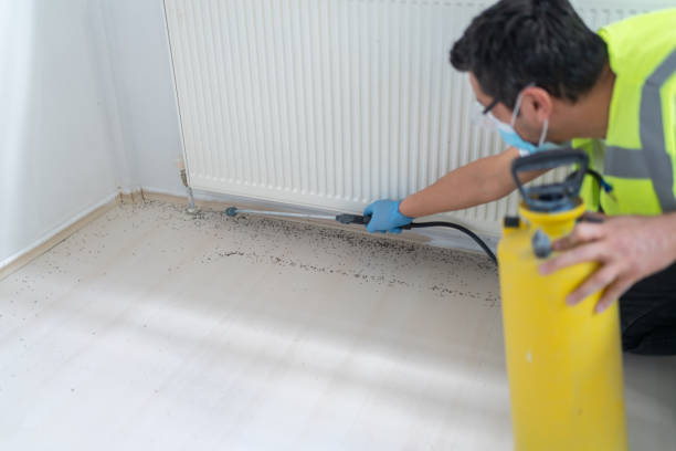 Best Best Pest Control Companies  in Kenneth City, FL